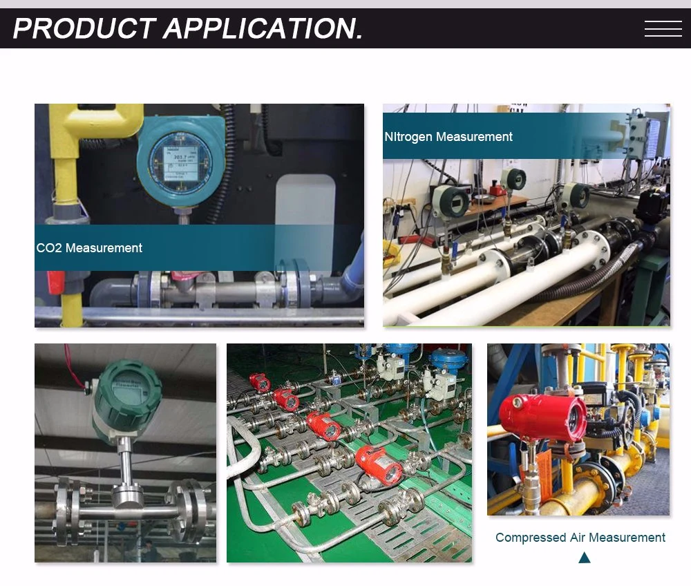 Digital LCD Display Thermal Gas Flowmeter Gas Mass Flow Meter for Nitrogen